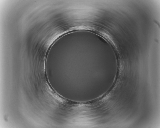 X0000100921228200807011259