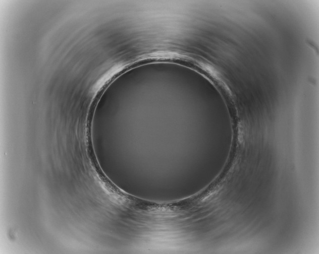 X0000100921229200807011259