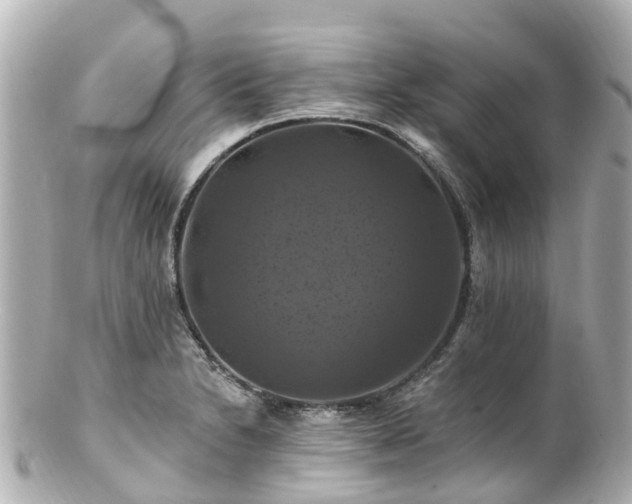 X0000100921230200807011259