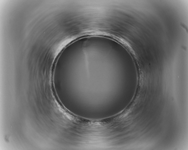 X0000100921231200807011259