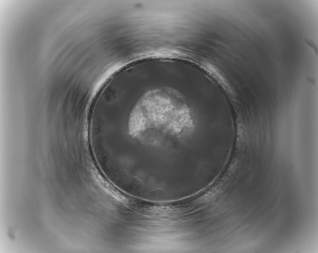 X0000100921232200807011259