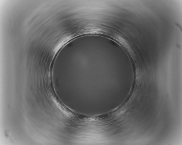 X0000100921234200807011259