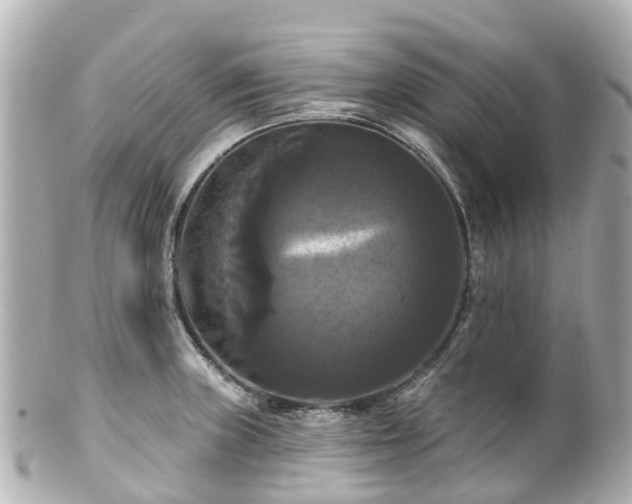 X0000100921235200807011259