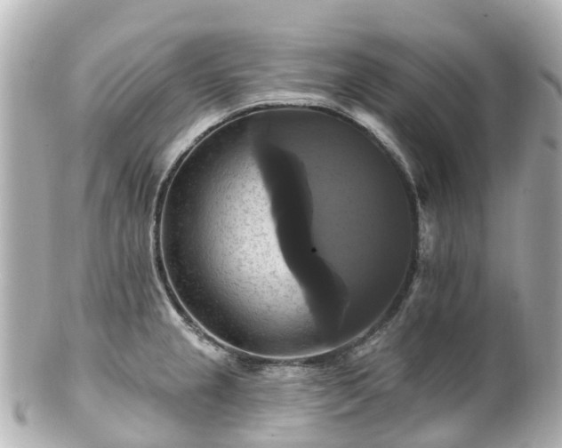 X0000100921237200807011259