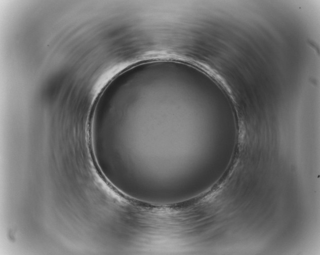 X0000100921239200807011259