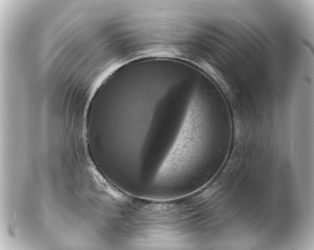 X0000100921240200807011259