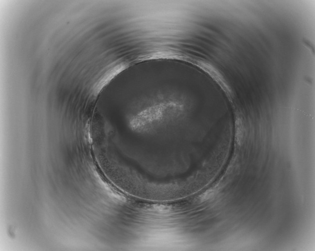 X0000100921241200807011259