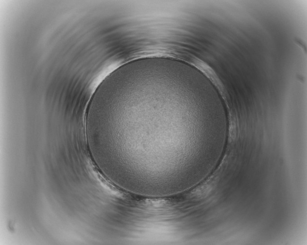 X0000100921242200807011259