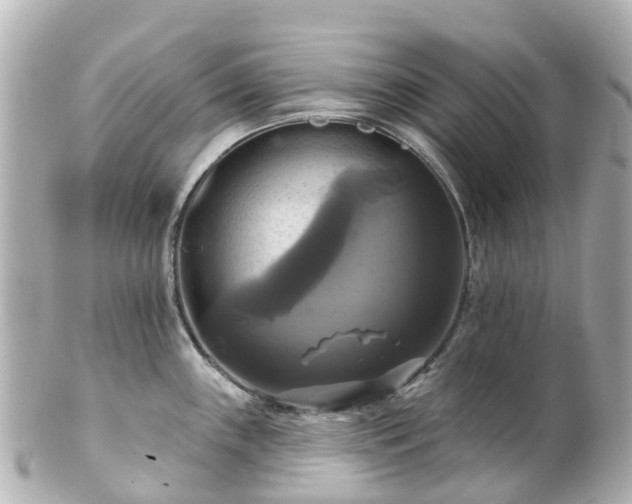 X0000100921243200807011259