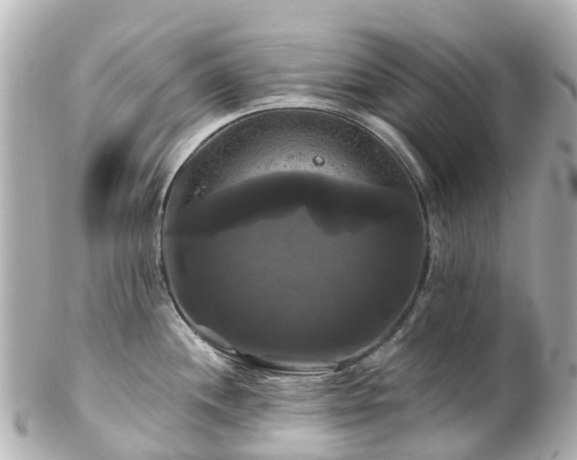 X0000100921244200807011259