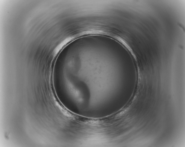 X0000100921245200807011259