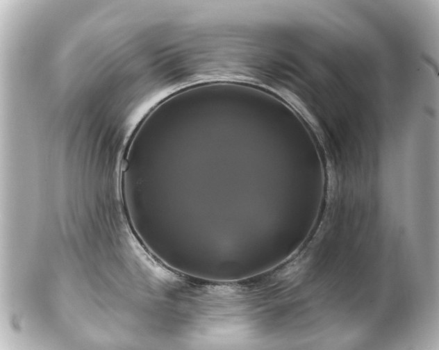 X0000100921246200807011259