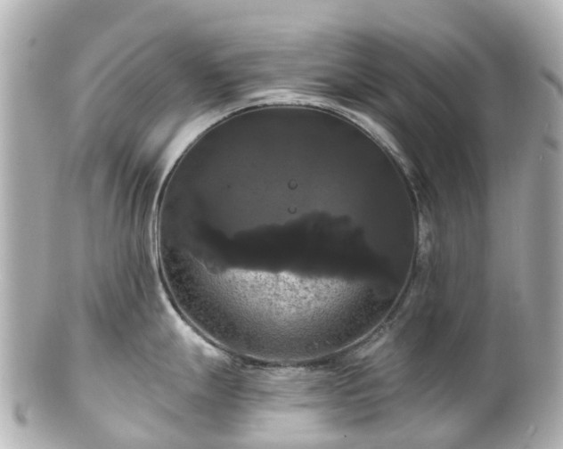 X0000100921247200807011259