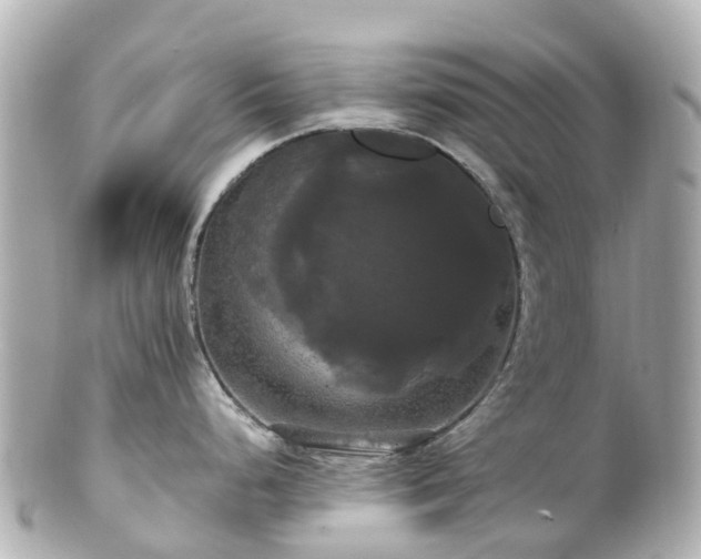 X0000100921248200807011259