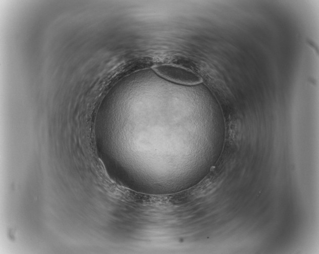 X0000100921249200807011259