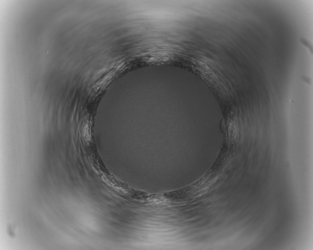 X0000100921250200807011259