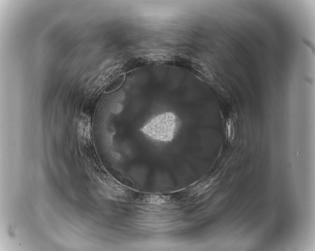 X0000100921251200807011259