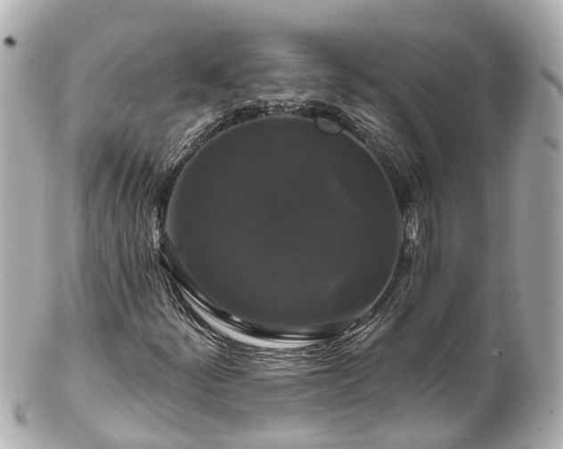 X0000100921252200807011259