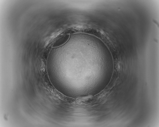 X0000100921253200807011258