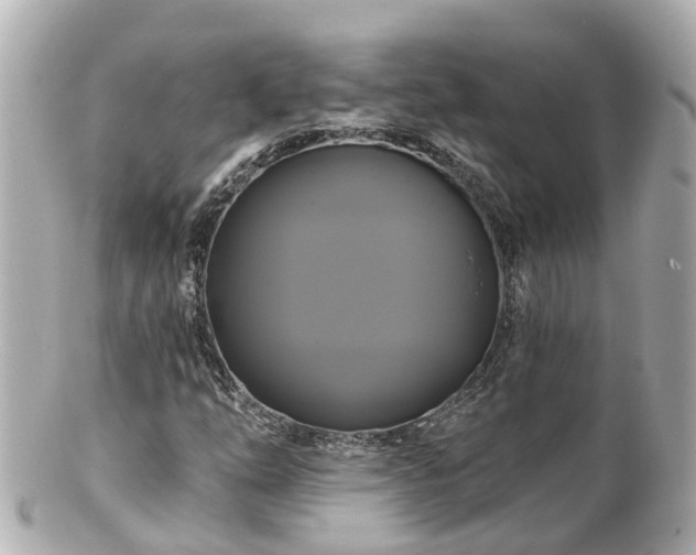 X0000100921254200807011258