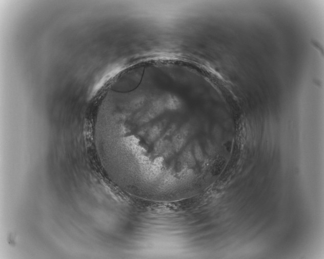 X0000100921255200807011258