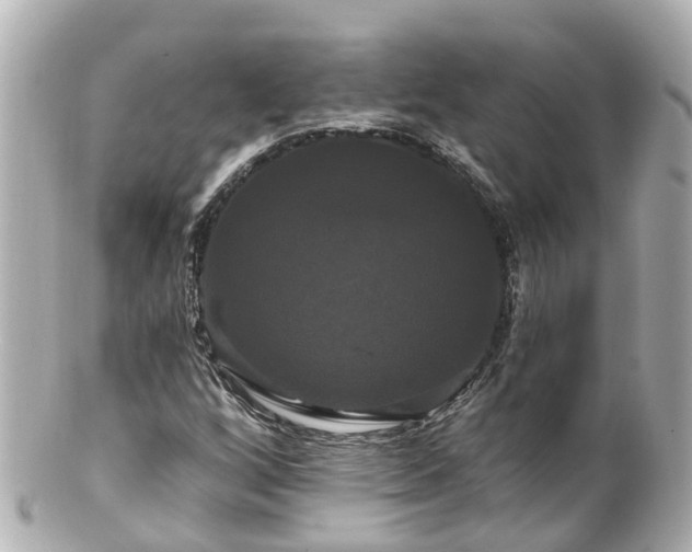 X0000100921256200807011258