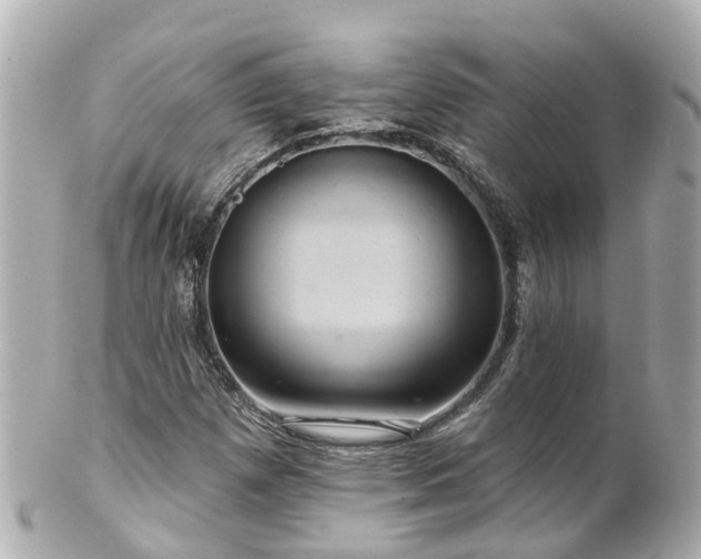 X0000100921257200807011258