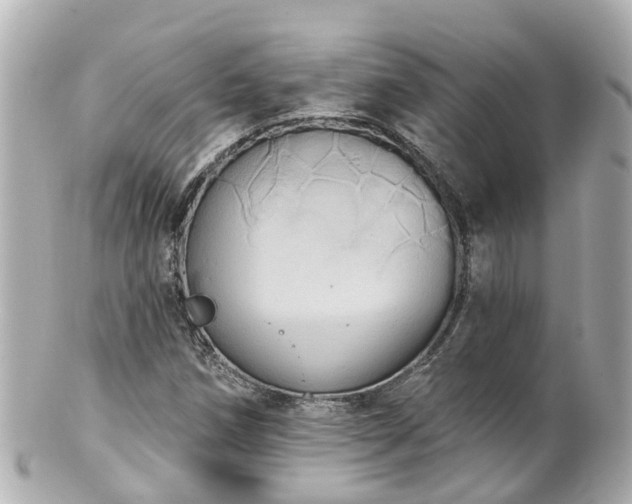 X0000100921258200807011258