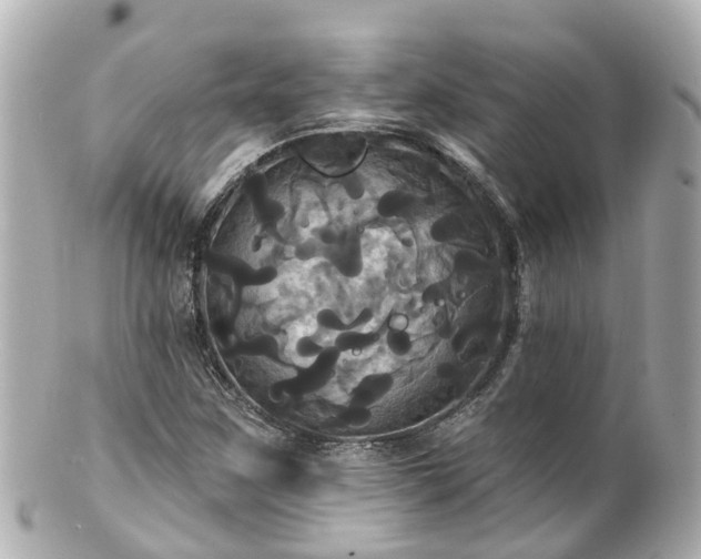 X0000100921259200807011258