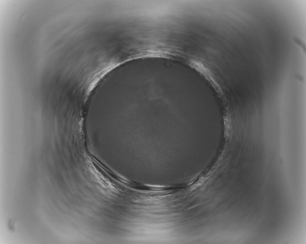 X0000100921260200807011258