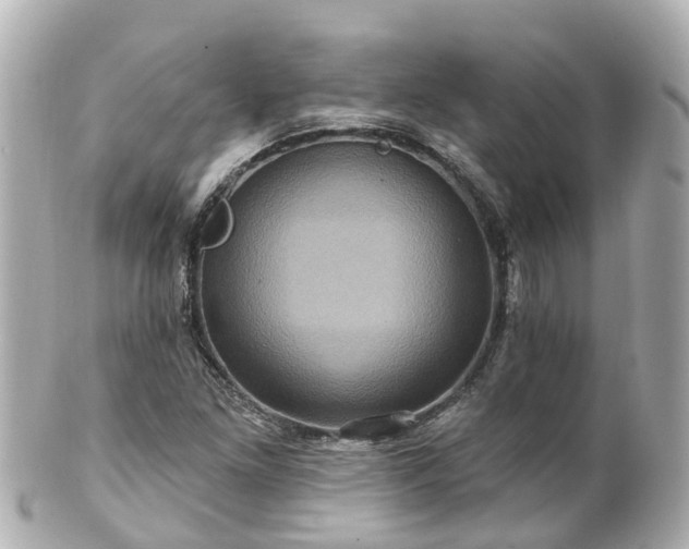 X0000100921261200807011258