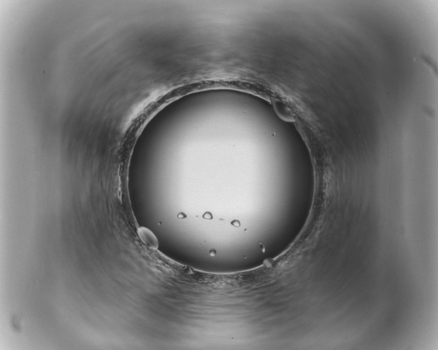 X0000100921262200807011258