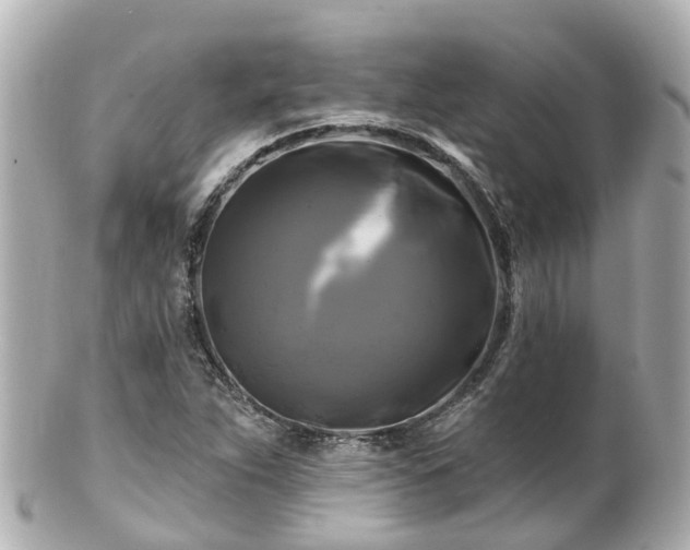 X0000100921263200807011258