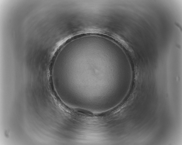 X0000100921264200807011258