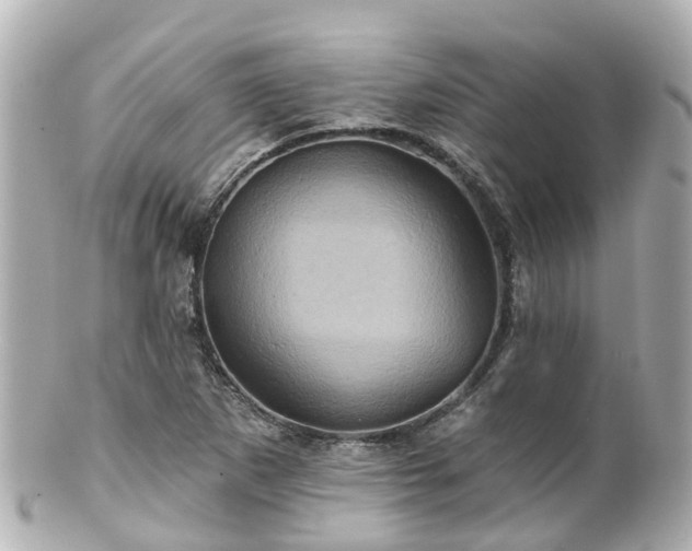 X0000100921265200807011258