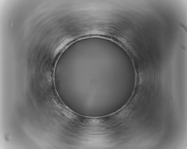 X0000100921266200807011258