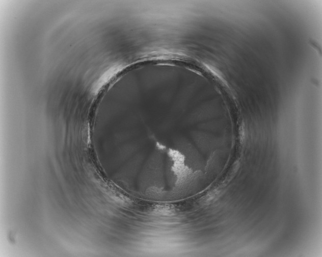 X0000100921267200807011258