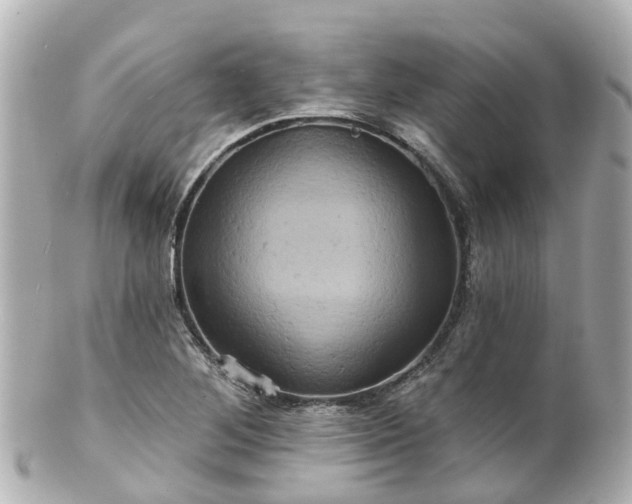 X0000100921268200807011258