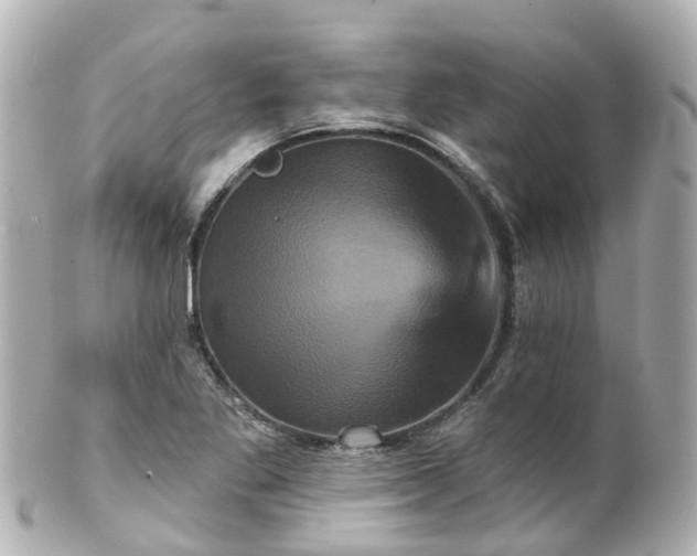 X0000100921269200807011258