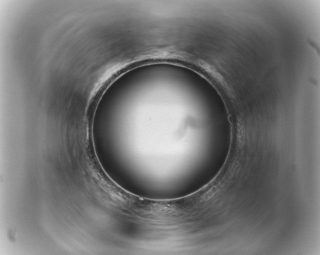 X0000100921270200807011258