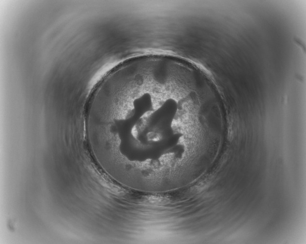 X0000100921271200807011258