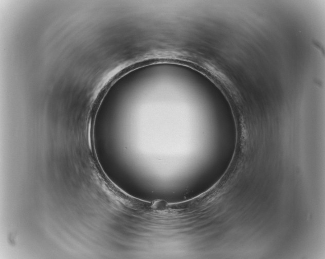 X0000100921272200807011258