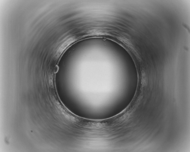 X0000100921273200807011258