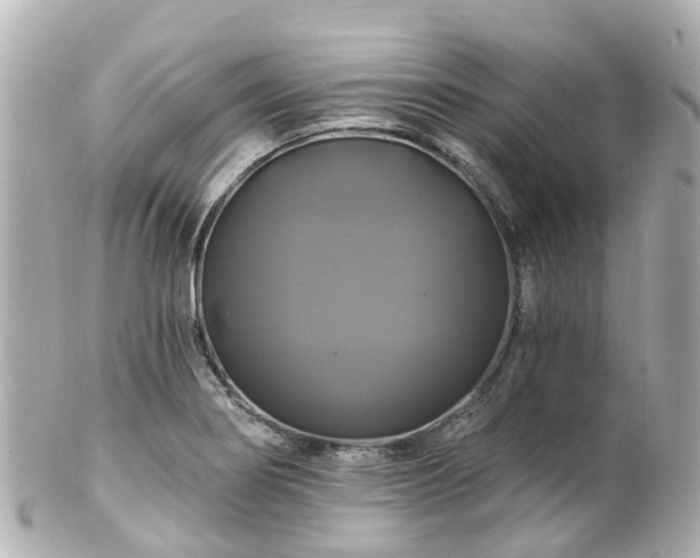 X0000100921274200807011258