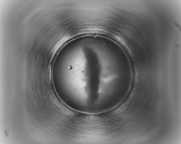 X0000100921275200807011258