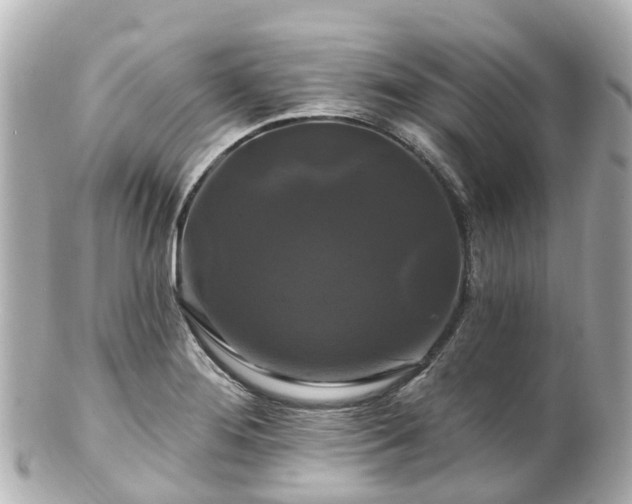 X0000100921276200807011258