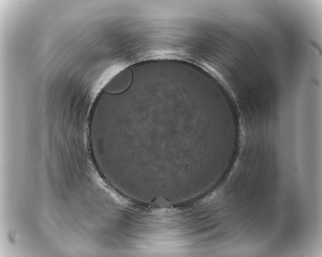 X0000100921277200807011258