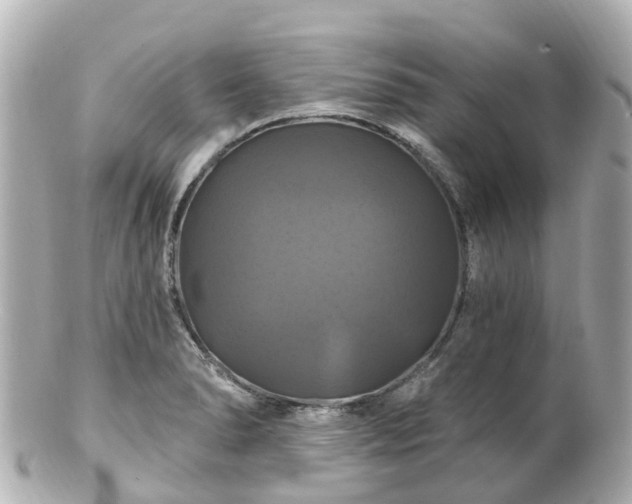 X0000100921278200807011258