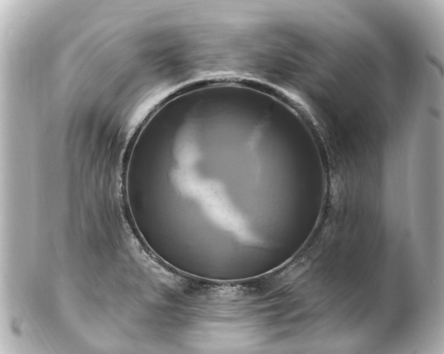 X0000100921279200807011258