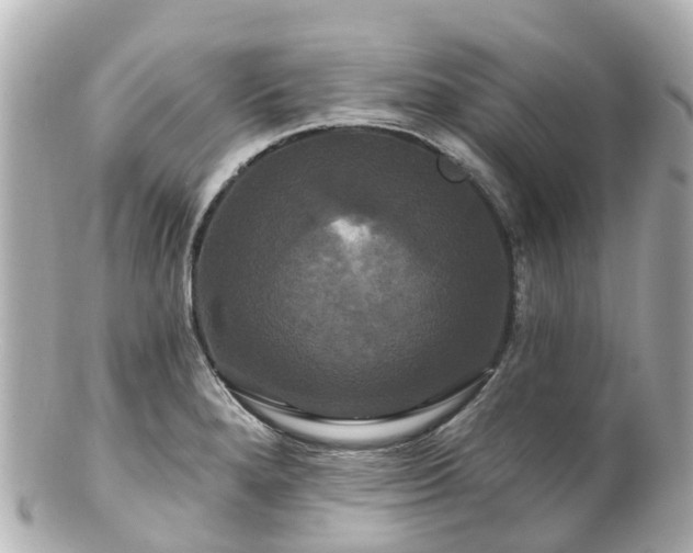 X0000100921280200807011258